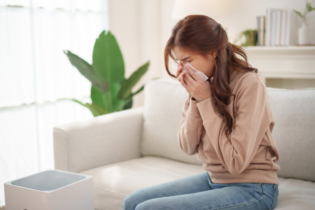 Your Guide to Healthy Indoor Air: Combat Air Pollution Today 1 iStock 2214861847